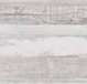 ARTIC