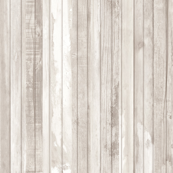 LINED ARTIC